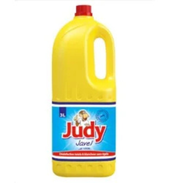 Judy Javel 3L
