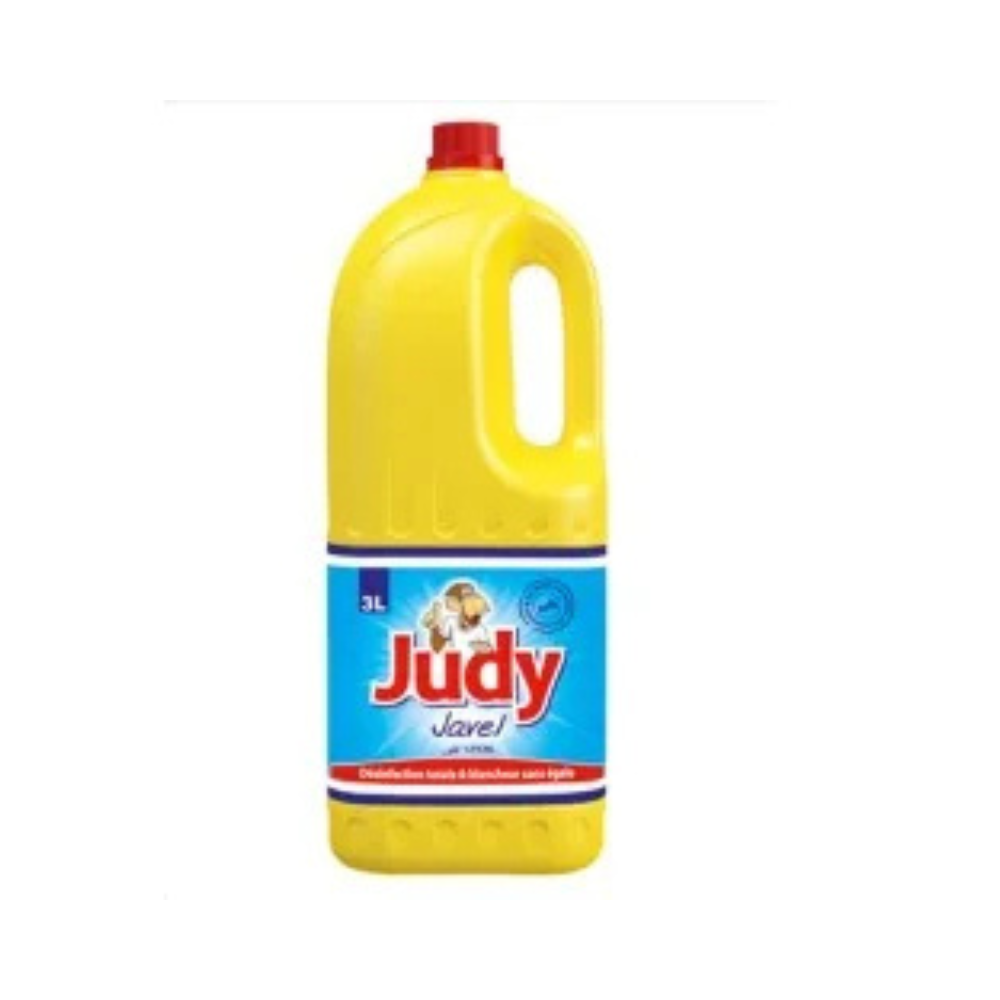Judy Javel 3L